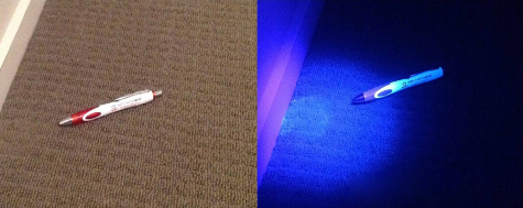 pet carpet damage repair buffalo