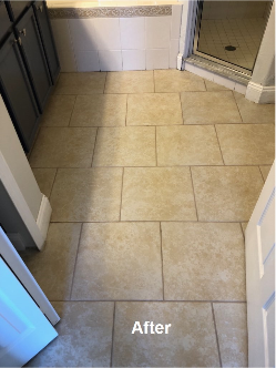 tile grout cleaner Buffalo