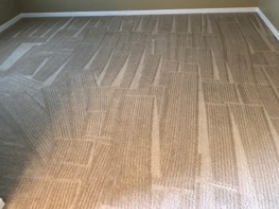 Carpet Cleaning Services Buffalo