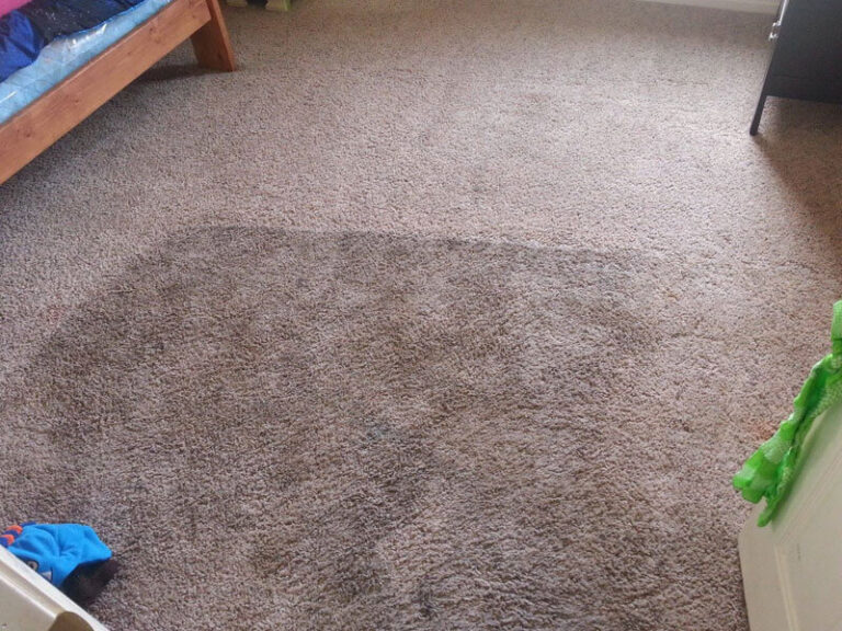 Bedroom Carpet Cleaning Buffalo