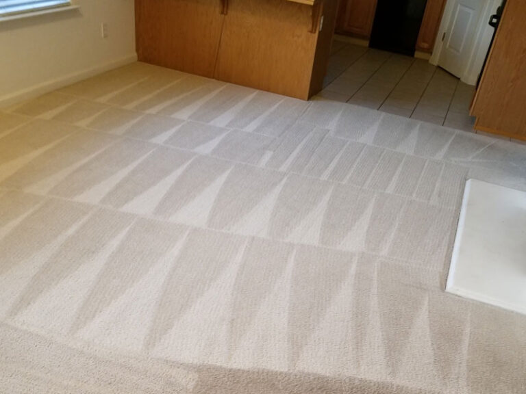 carpet cleaner rental buffalo ny