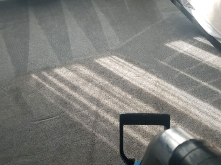 Rug Cleaning Buffalo