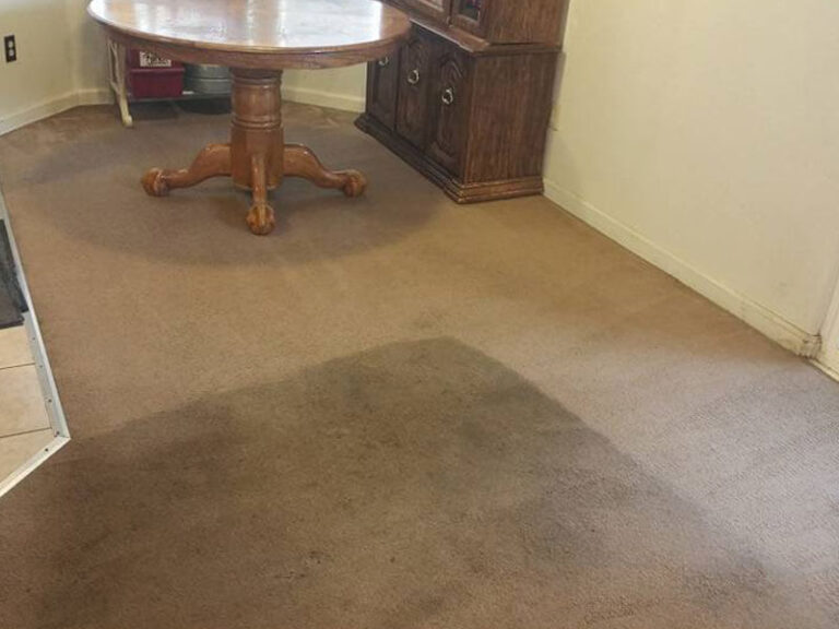 Area Rug Cleaning Buffalo NY