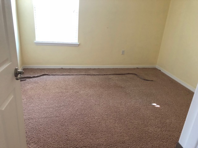 carpet stretching buffalo 2