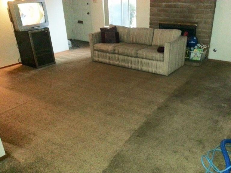 Carpet Cleaning Services Buffalo