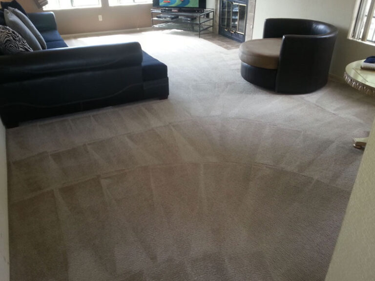 Living Room Carpet Cleaning