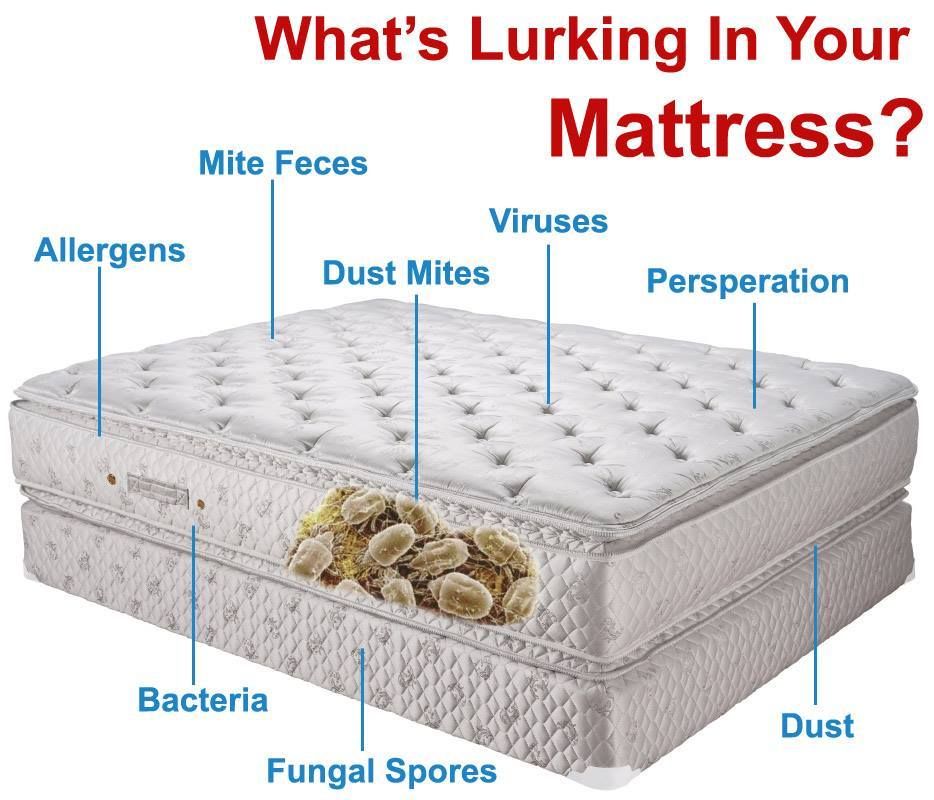 mattress cleaning services Buffalo