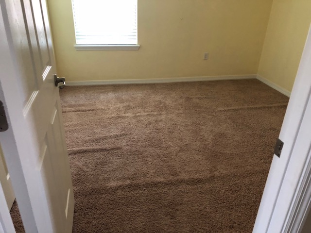 carpet stretching buffalo 1