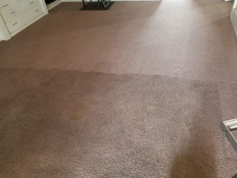 carpet cleaning companies buffalo ny