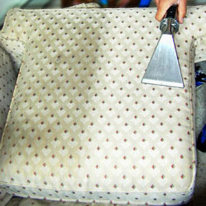 Professional upholstery cleaning buffalo ny