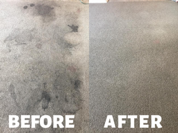 Carpet Cleaning in Buffalo NY Carpet Cleaning in Buffalo NY