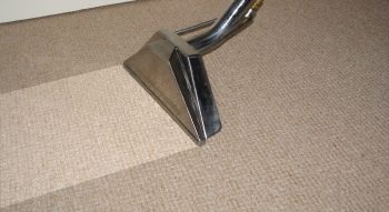 Carpet Cleaning Buffalo Ny Carpet Cleaning Buffalo NY